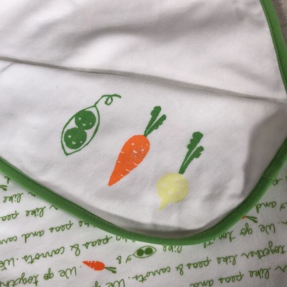 Vintage Gymboree Vegetable Garden Reversible Baby Blanket - Picture 2 of 9